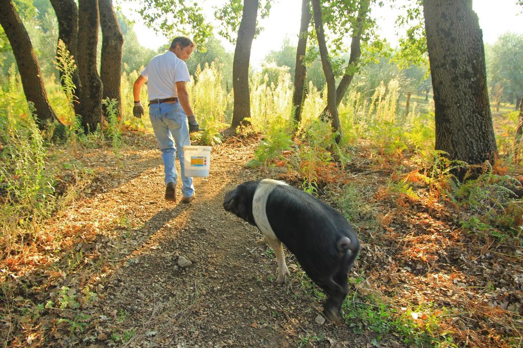 Agriturismo Locanda Pantanello 피틸리아노 외부 사진
